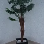 Διαμέρισμα Residenz Rosengrund Whg O3 *